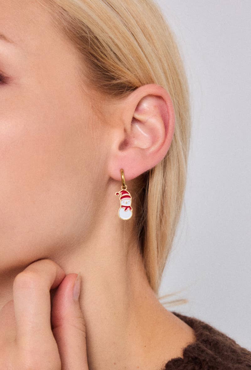 124RX223 stainless steel earrings