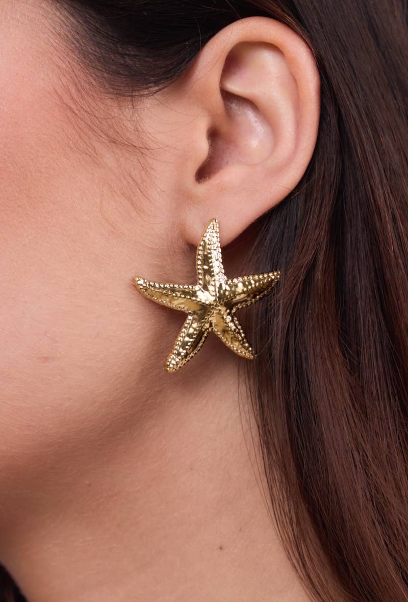 Stainless steel star earrings 124AQ387