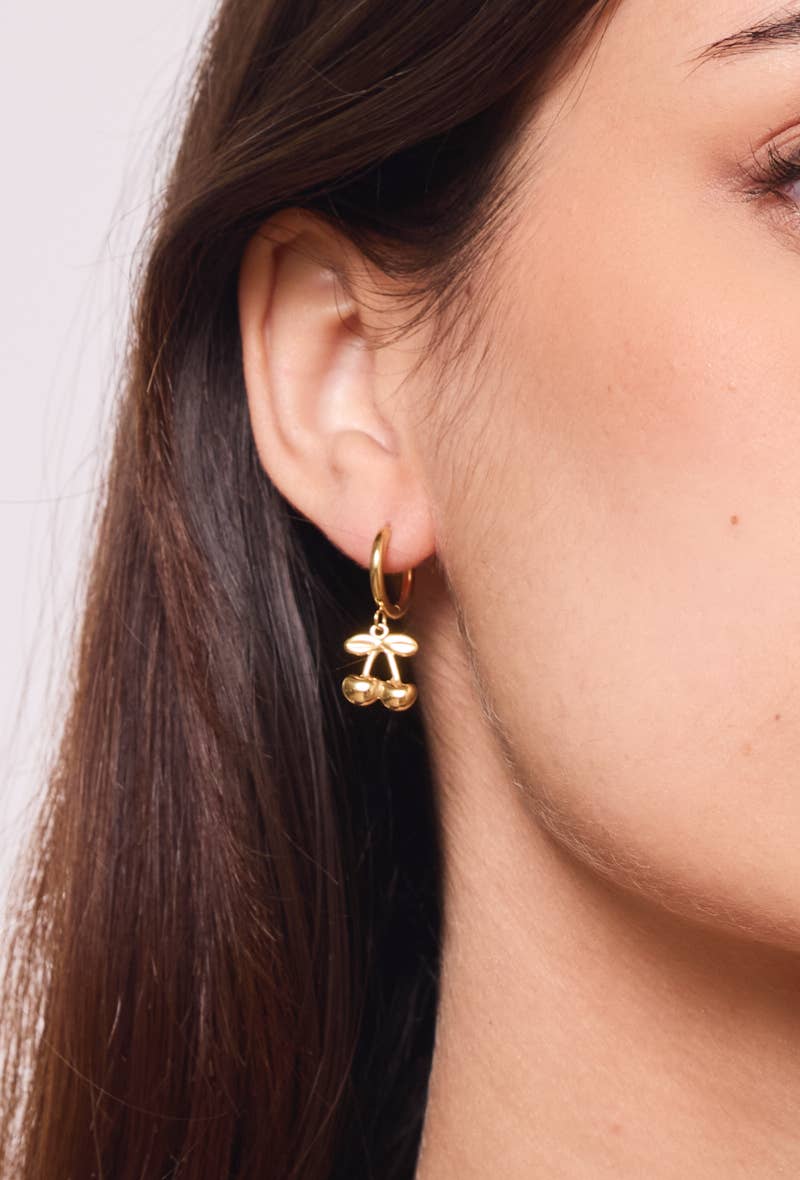 Stainless steel earrings 124AQ393