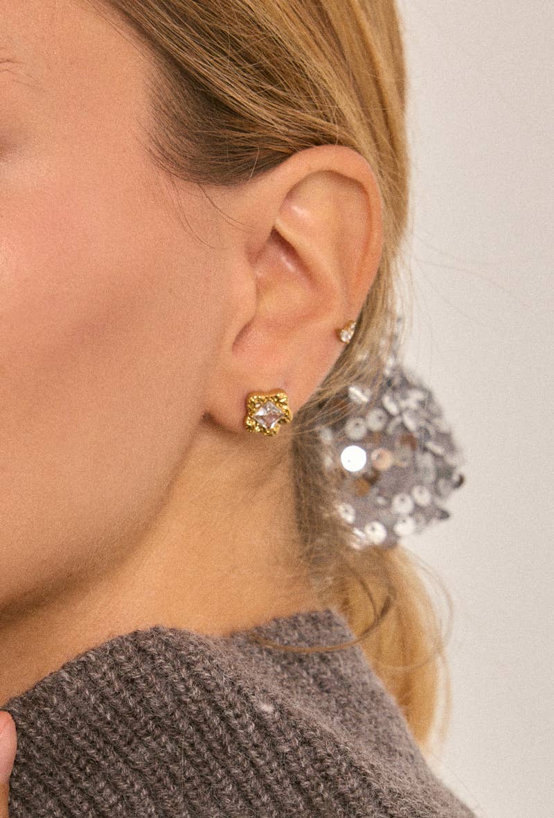 Stainless steel earrings 124RX210