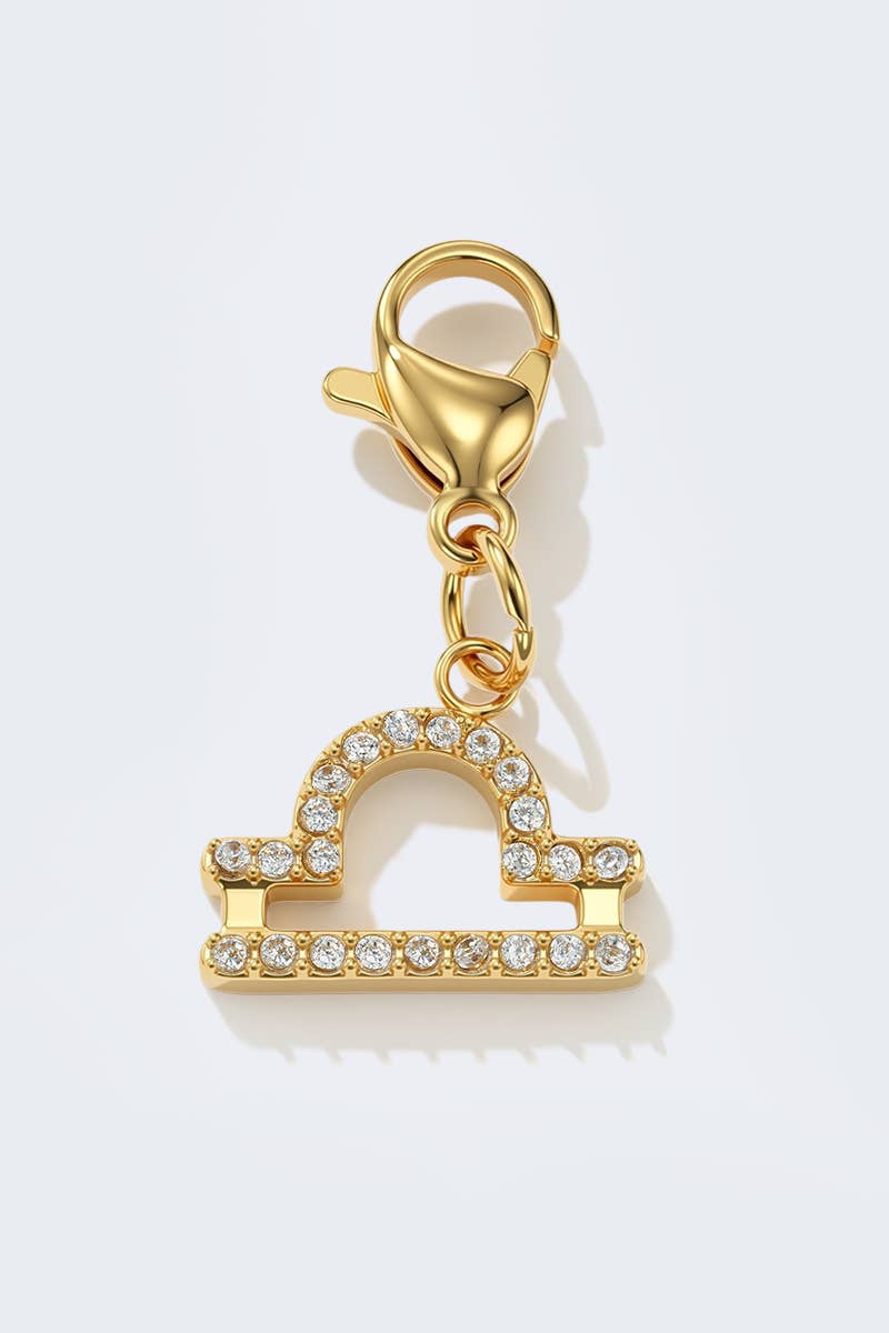 Stainless steel charm CHARM-ZODIAC