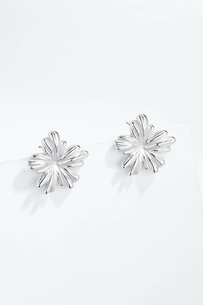 Boucles d'oreilles en acier inoxydable 124AQ627