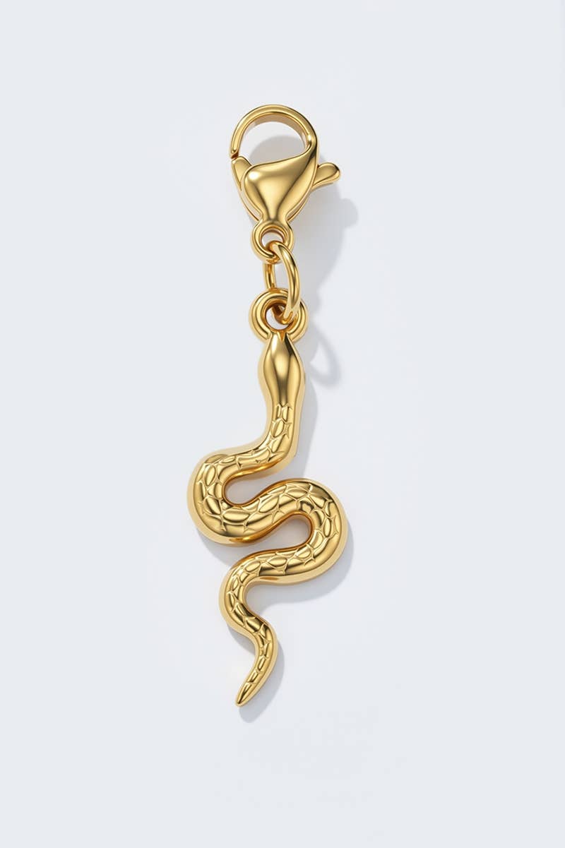 Charm breloque en acier inoxydable CHARM61