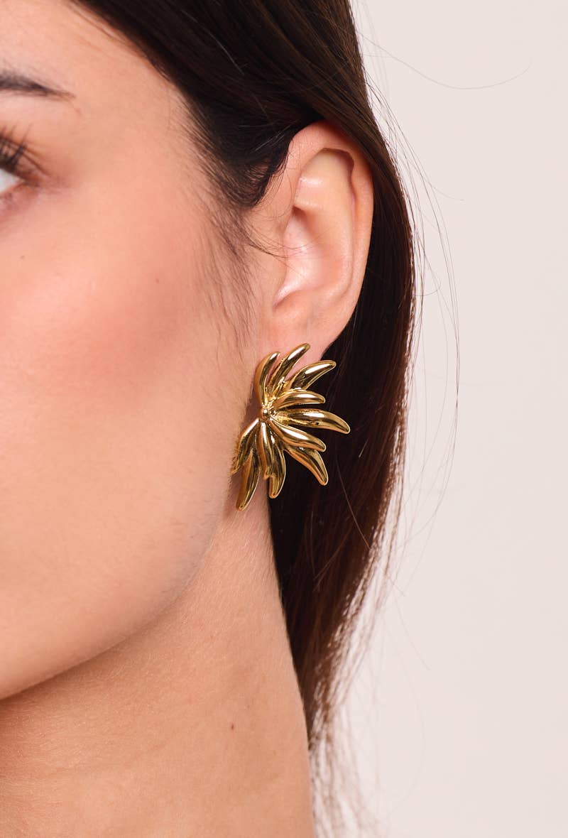 Boucles d'oreille en acier inoxydable 124AQ373