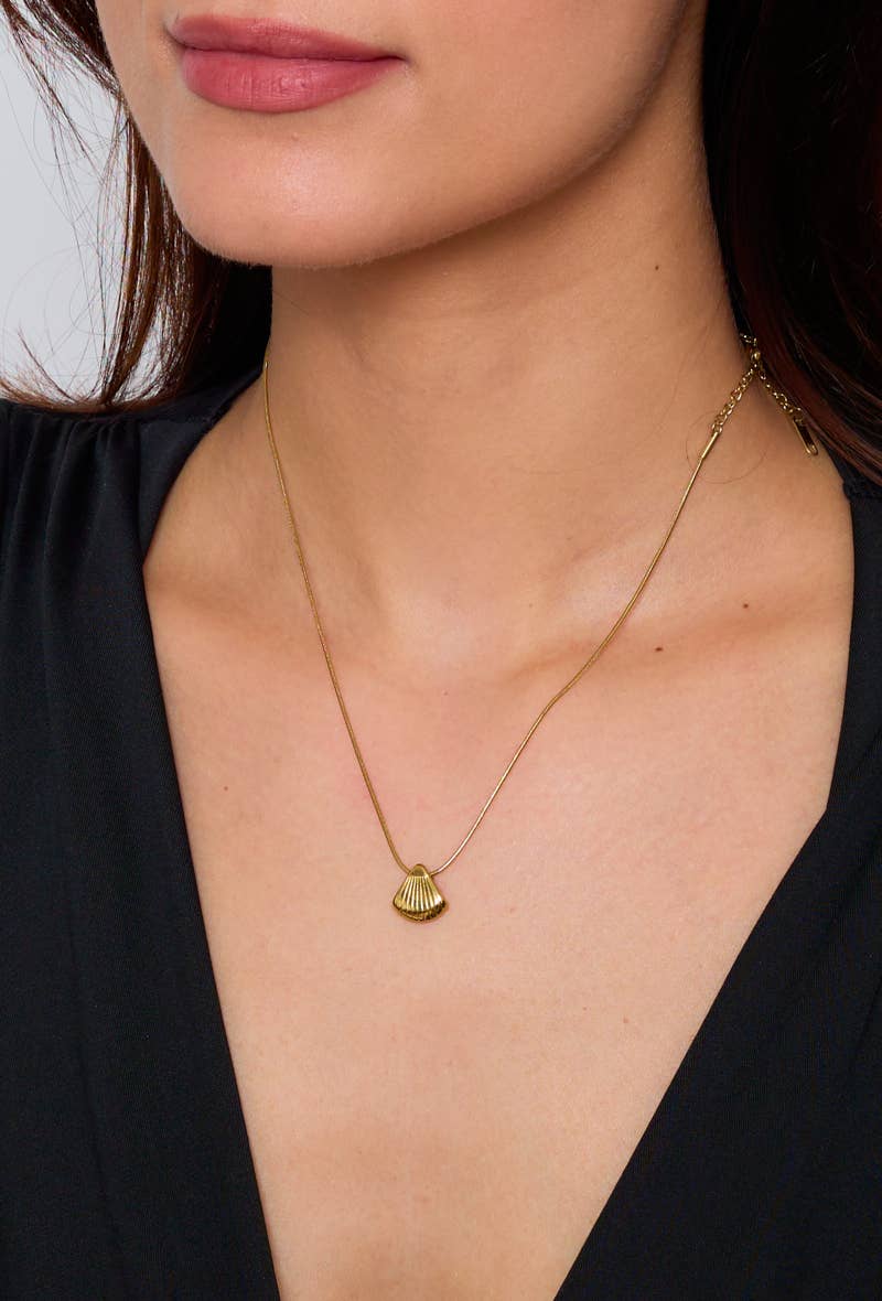 Collier avec coquillage en acier inoxydable 224DY23