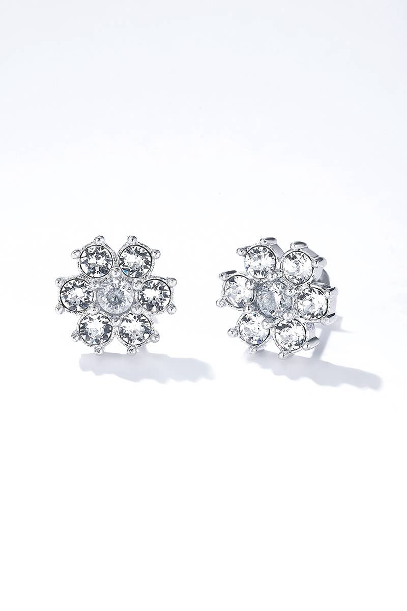 Boucles d'oreilles en acier inoxydable 124AQ345