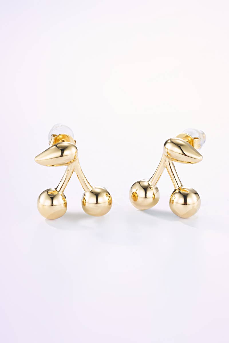 Boucles d'oreille en acier inoxydable 124AQ370