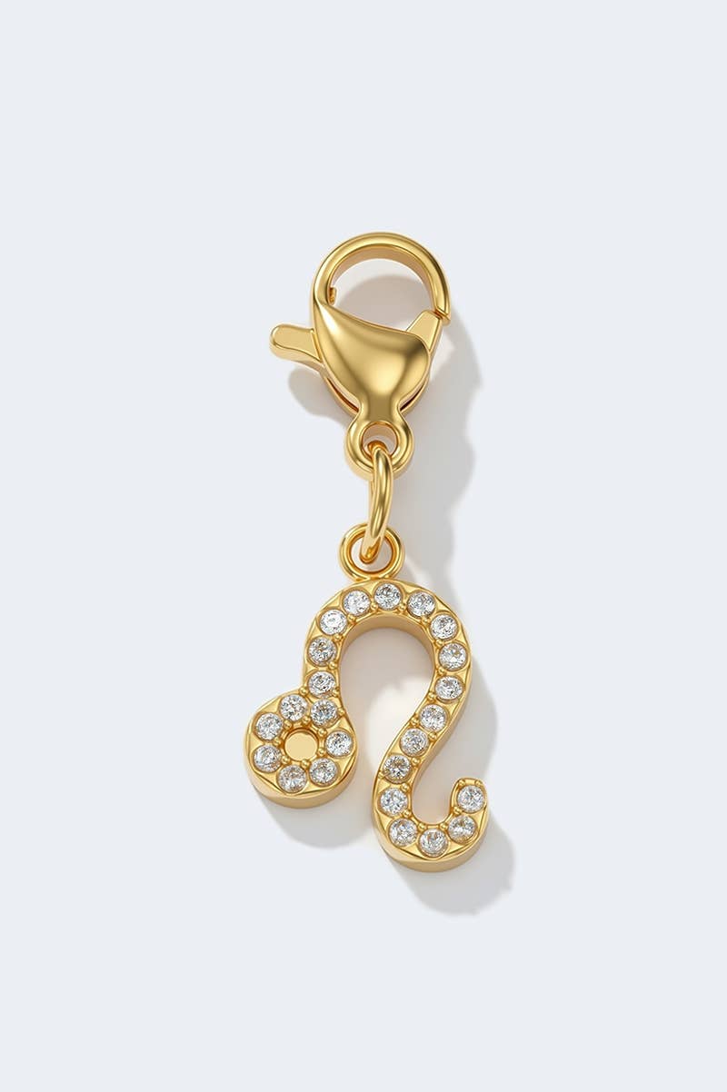 Stainless steel charm CHARM-ZODIAC