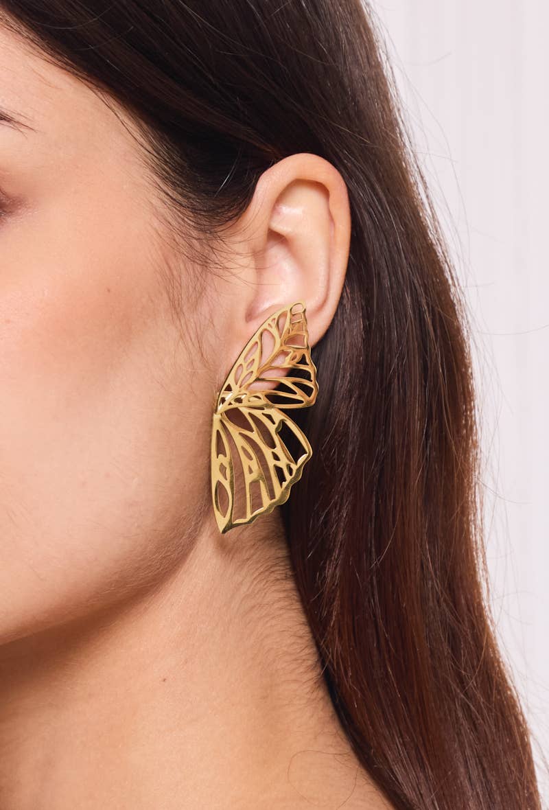 Butterfly stainless steel earrings 124AQ382