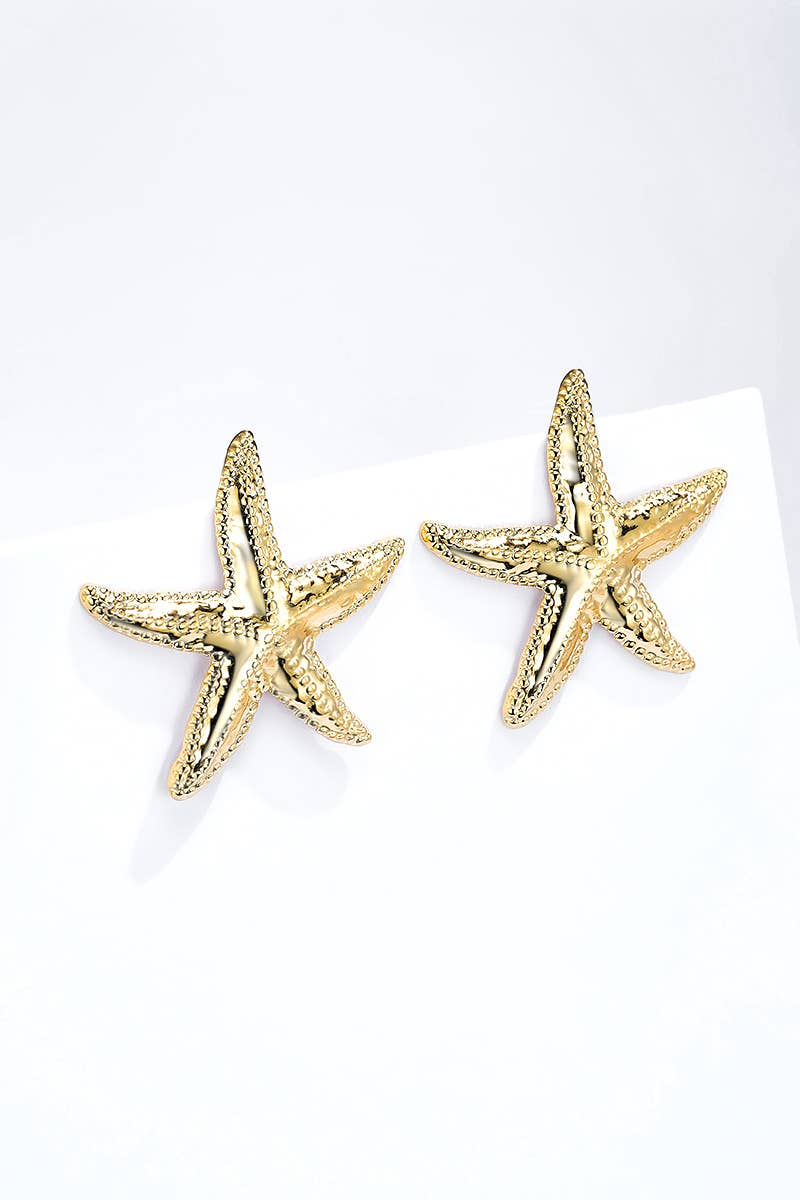 Stainless steel star earrings 124AQ387