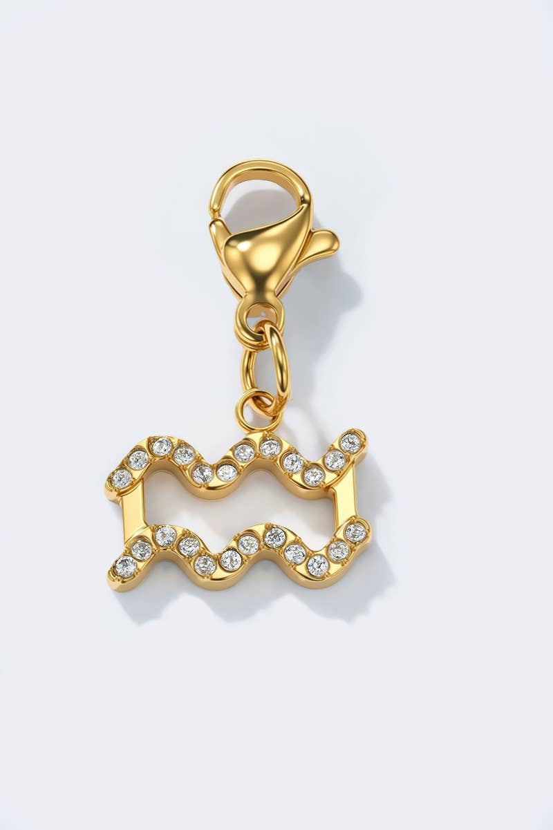 Stainless steel charm CHARM-ZODIAC