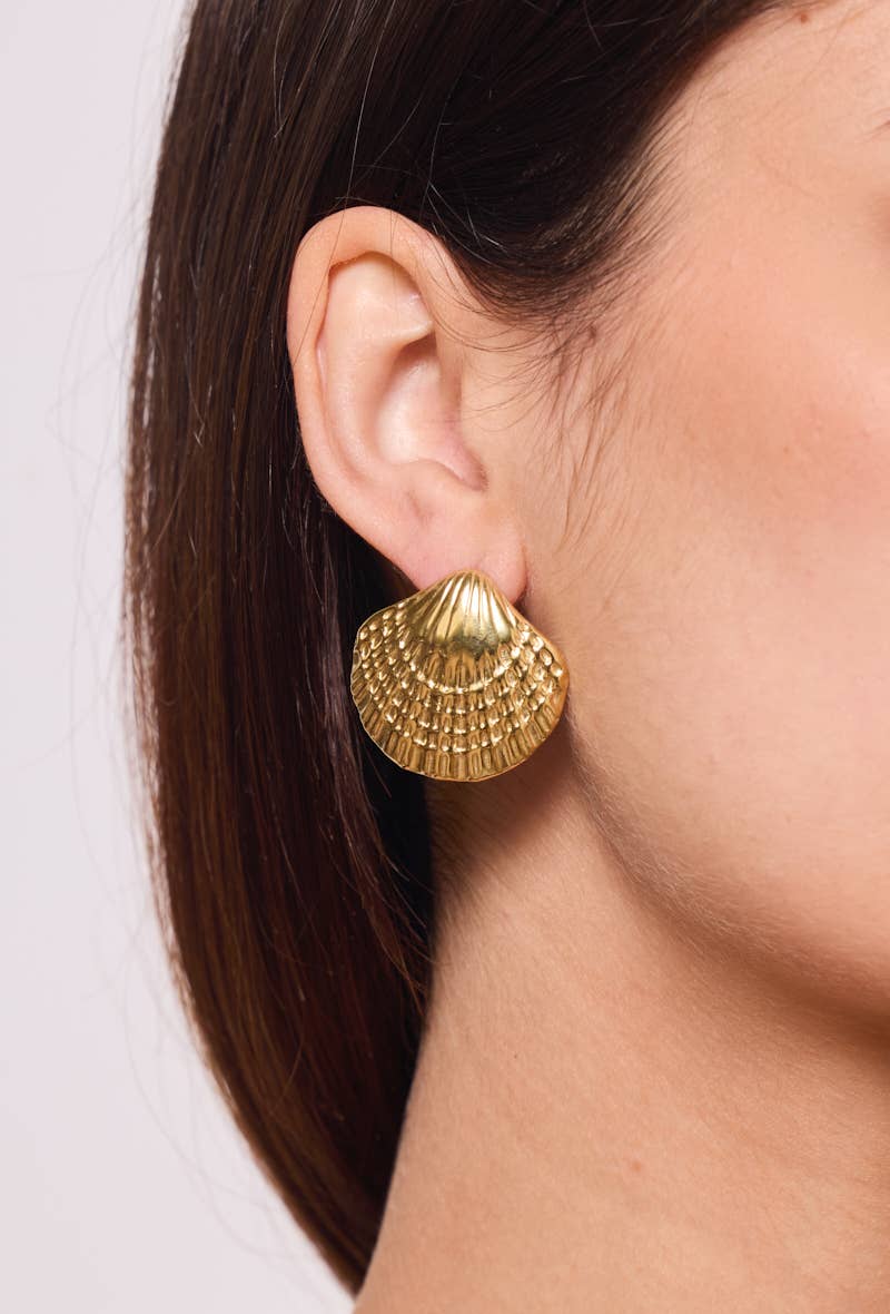 Boucles d'oreille en acier inoxydable 124AQ381