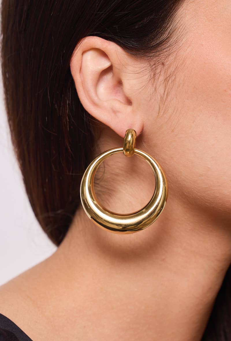 Stainless steel earrings 124RX116