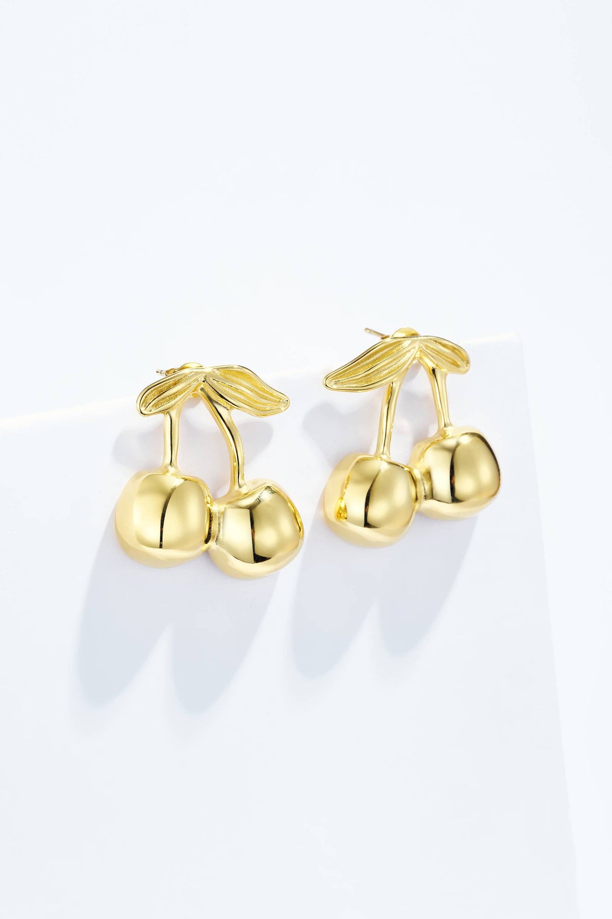Boucles d'oreilles en acier inoxydable 124AQ420