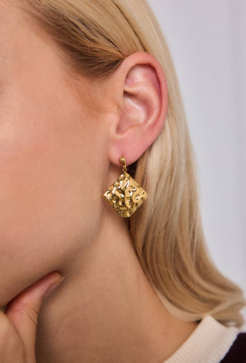 124RX198 stainless steel earrings