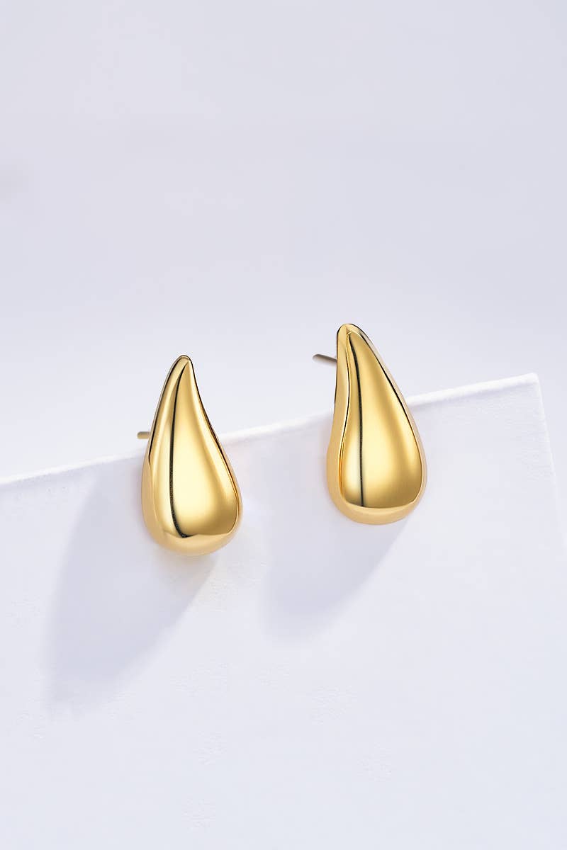 Boucles d'oreilles en acier inoxydable 124RX112