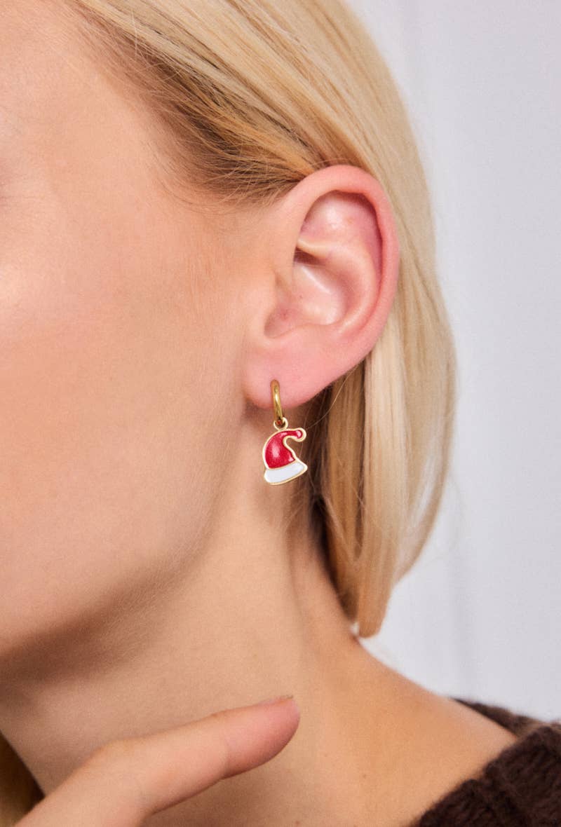 124RX221 stainless steel earrings