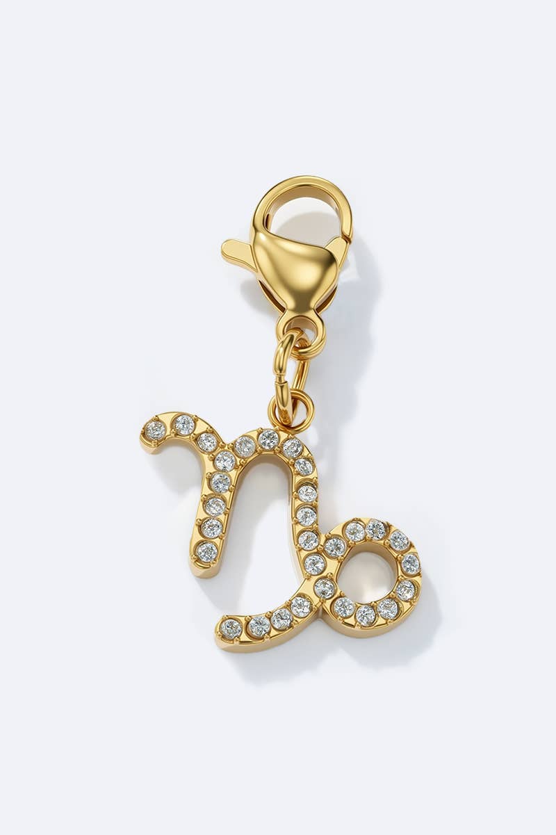 Stainless steel charm CHARM-ZODIAC