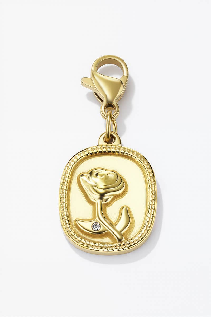 Charm breloque en acier inoxydable CHARM14