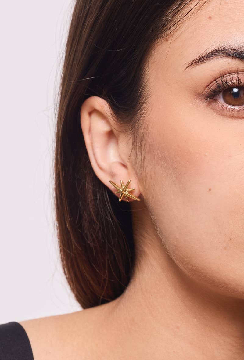 Stainless steel earrings 124AQ372
