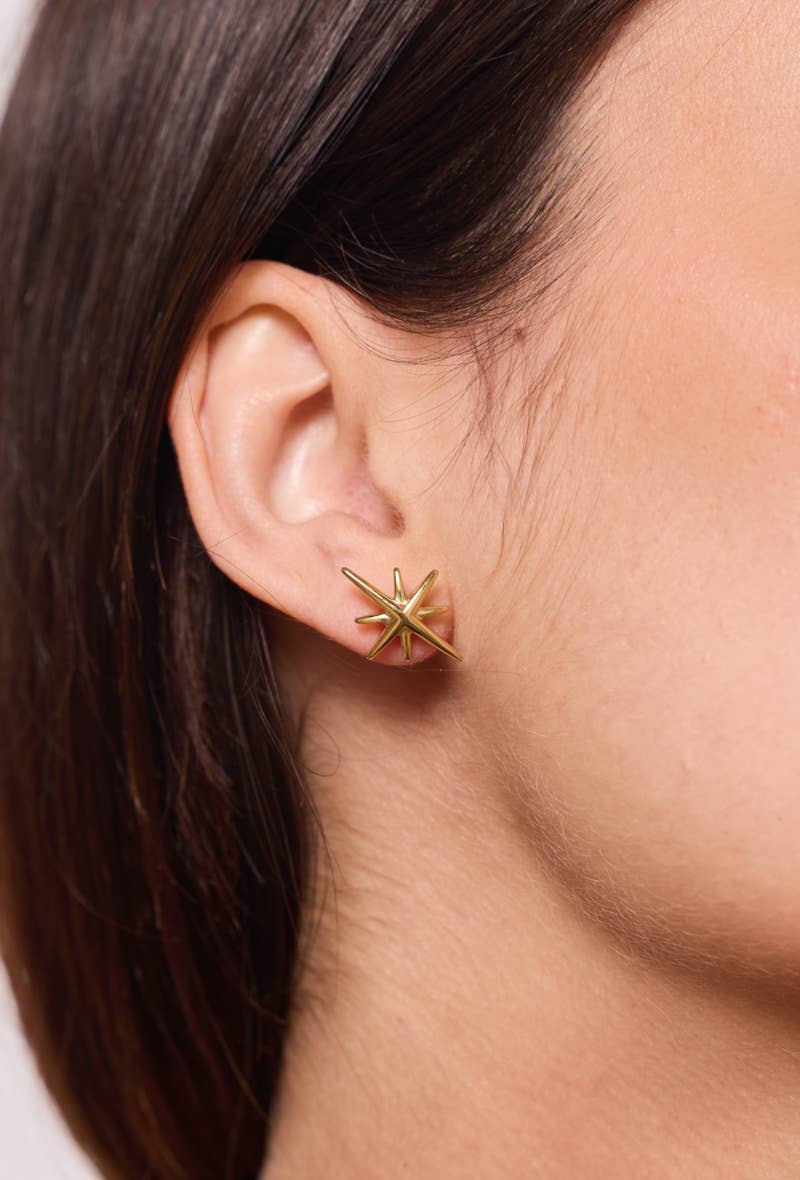 Stainless steel earrings 124AQ372