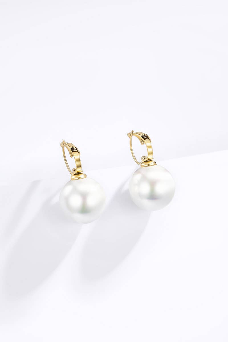 Boucles d'oreille en acier inoxydable 124AQ389