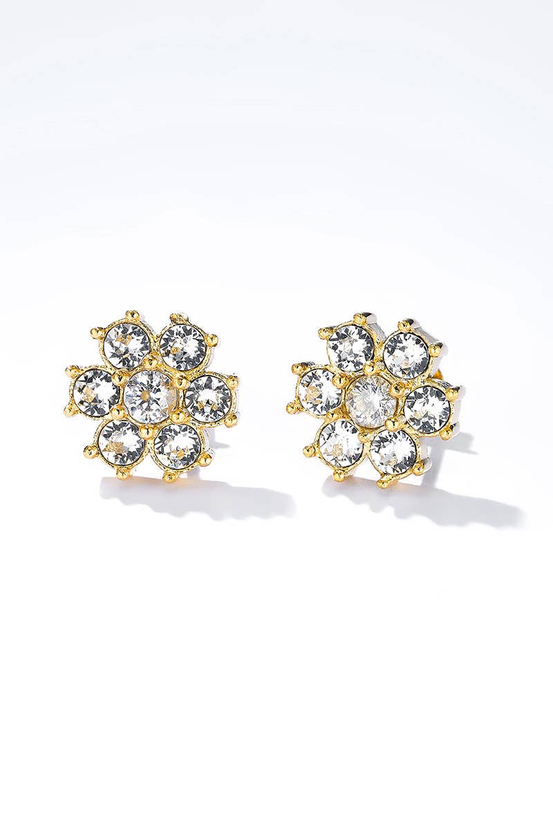 Boucles d'oreilles en acier inoxydable 124AQ345
