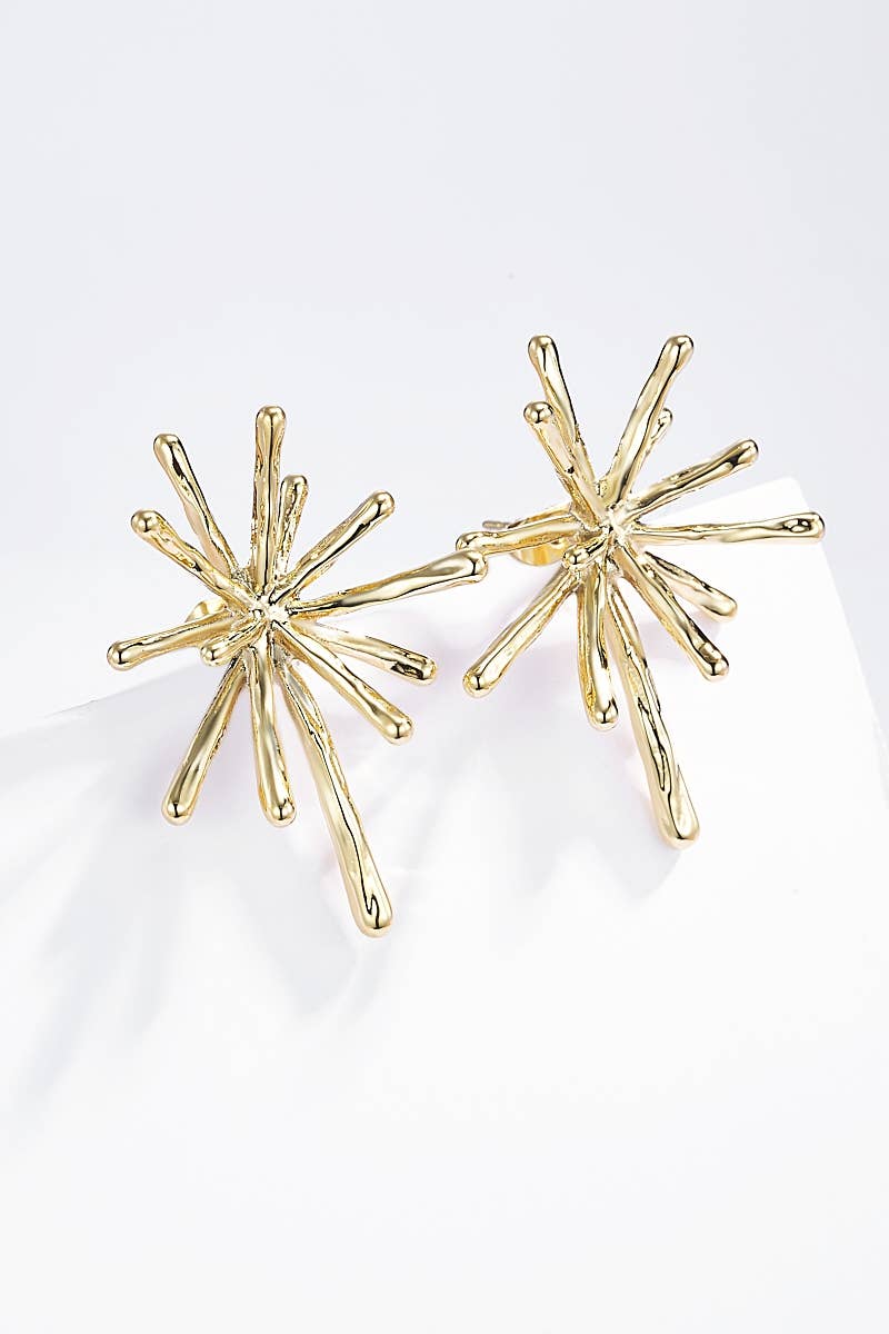 Boucles d'oreilles en acier inoxydable 124AQ258