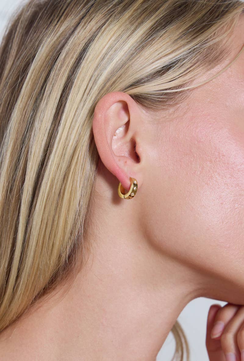 Boucles d'oreilles en acier inoxydable 124AQ249