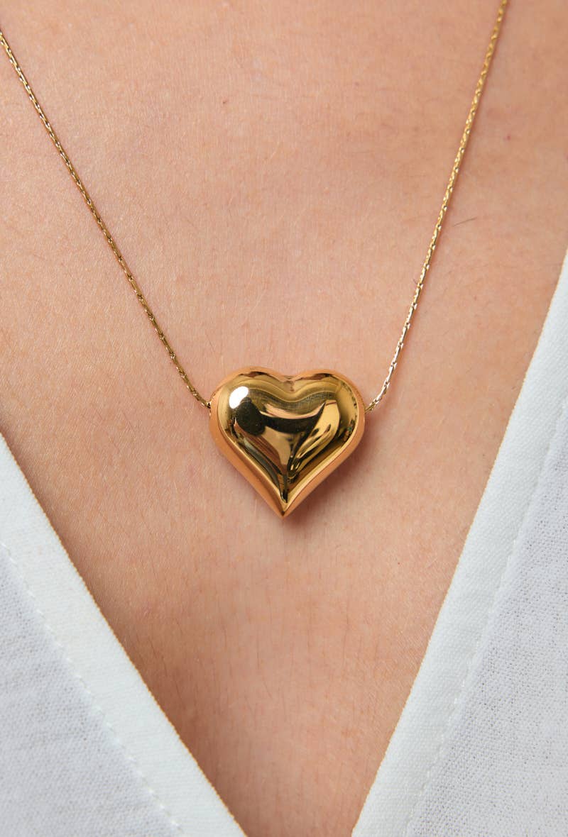 Collier en acier inoxydable 224AQ44