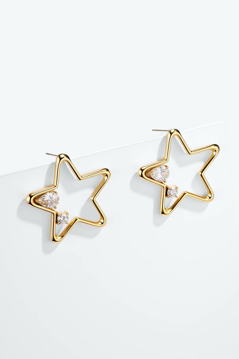 Stainless steel earrings 124RX345