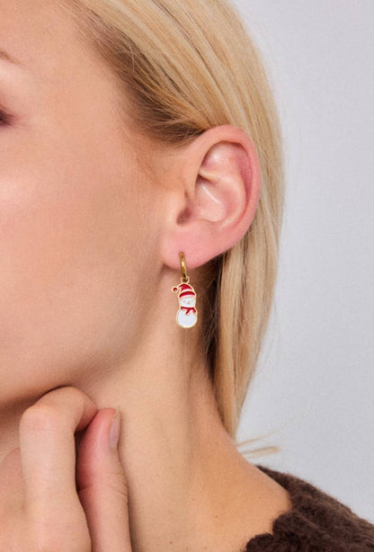 124RX223 stainless steel earrings