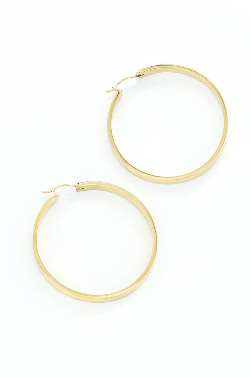 Stainless steel earrings 124AQ277