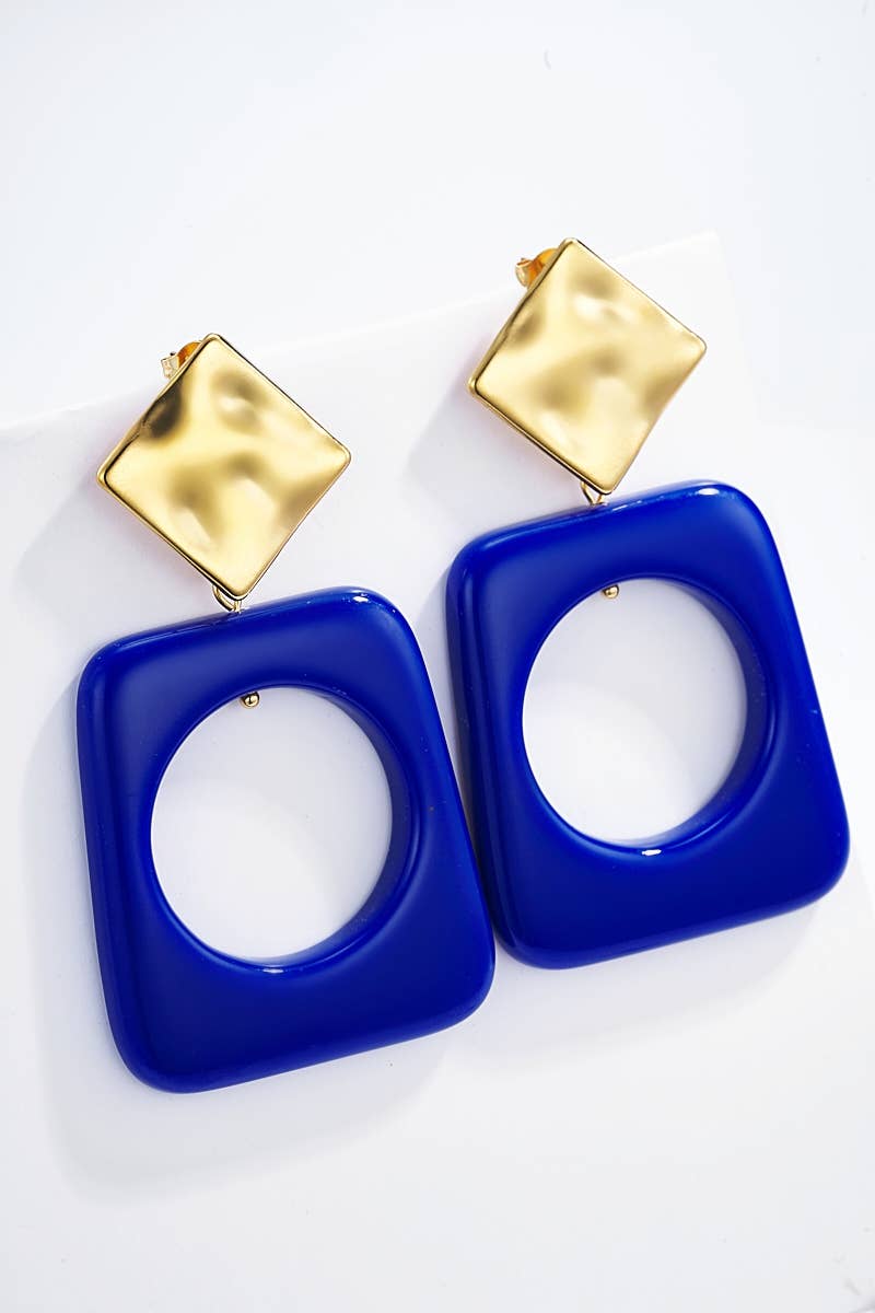 124CP03 stainless steel earrings