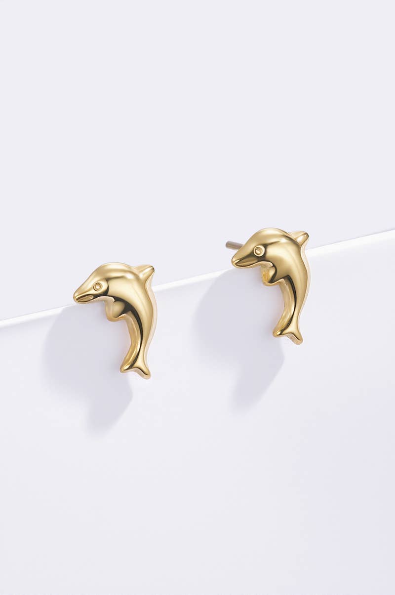 Boucles d'oreille en acier inoxydable 124AQ537