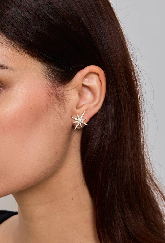 Boucles d'oreilles puces en acier inoxydable 124AQ178