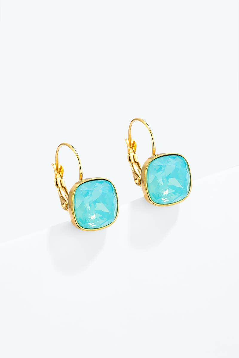 Boucles d'oreille en acier inoxydable 124AQ717