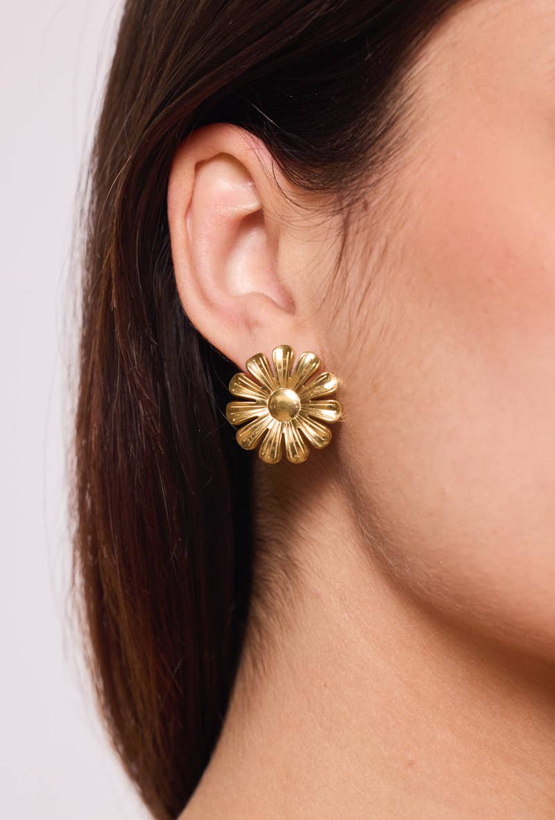 124RX126 stainless steel earrings