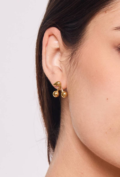 Stainless steel earrings 124AQ370
