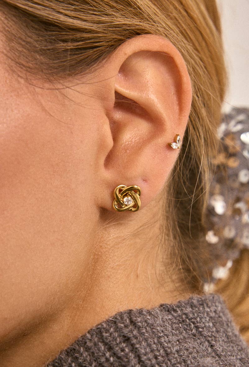 Stainless steel earrings 124RX203
