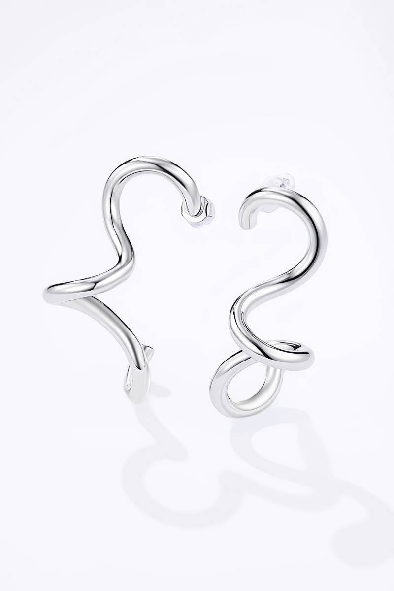 124AQ367 stainless steel earrings