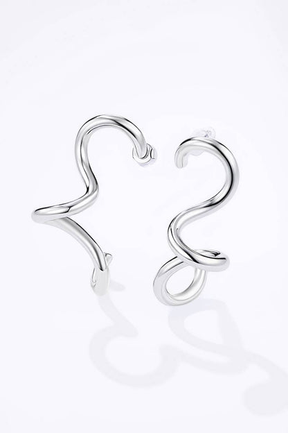 124AQ367 stainless steel earrings