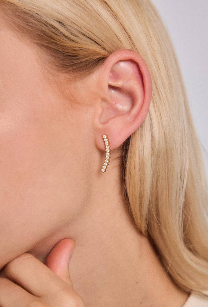 Stainless steel earrings 124RX209