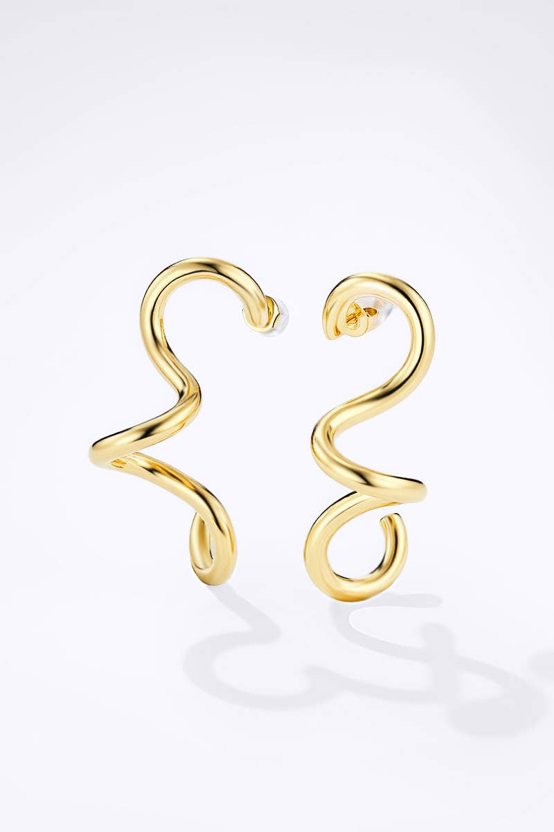 124AQ367 stainless steel earrings