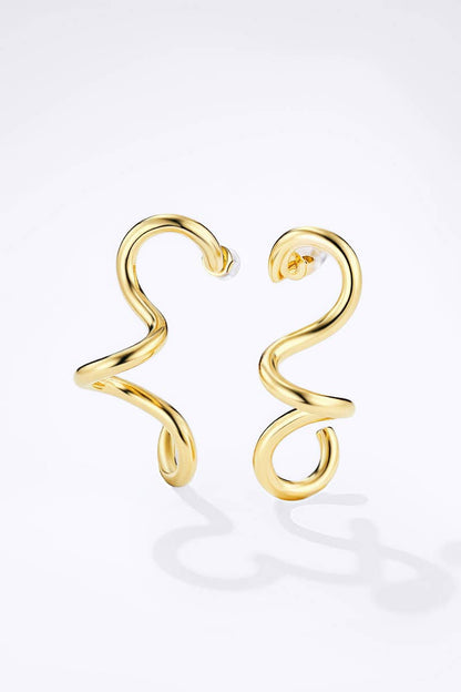 124AQ367 stainless steel earrings
