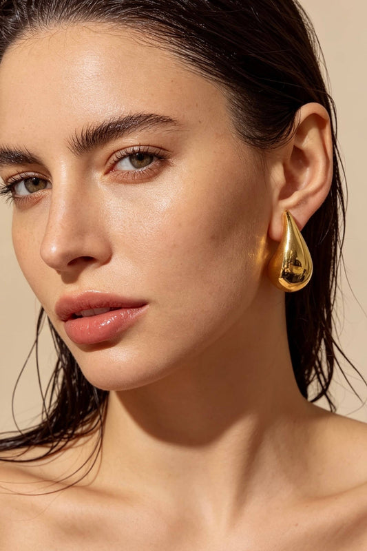 Stainless steel earrings 124AQ652