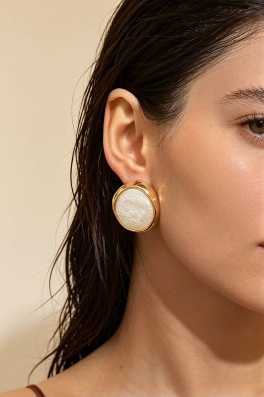 Stainless steel earrings 124AQ705
