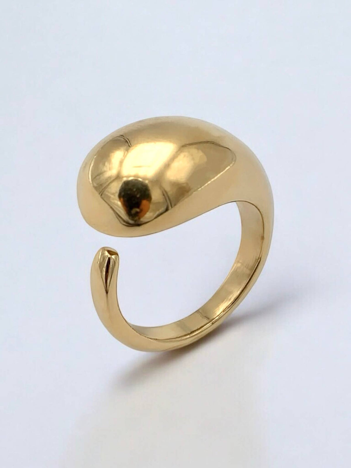 Stainless steel ring 424RX113