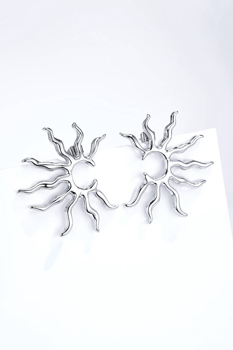 124AQ386 stainless steel earrings