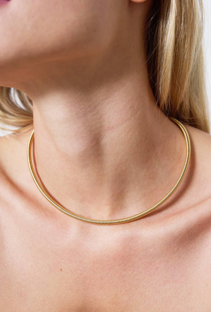 Collier en acier inoxydable 224AQ59